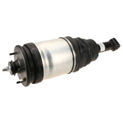 Amortizor perna aer Range Rover Sport 2009-2013 LR016419